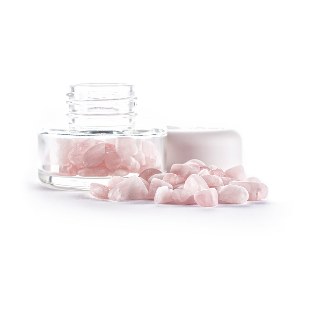 
                      
                        Inu! Crystal Jar
                      
                    