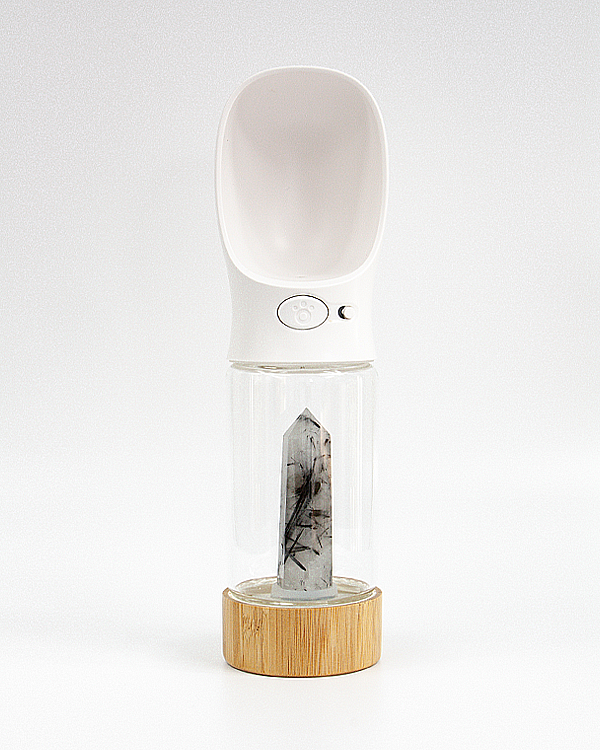 
                      
                        Urban Oasis - Crystal-Infused Water Bottle
                      
                    