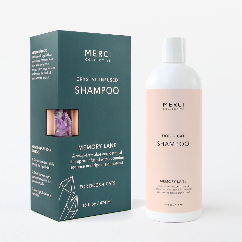 
                      
                        Memory Lane Shampoo
                      
                    